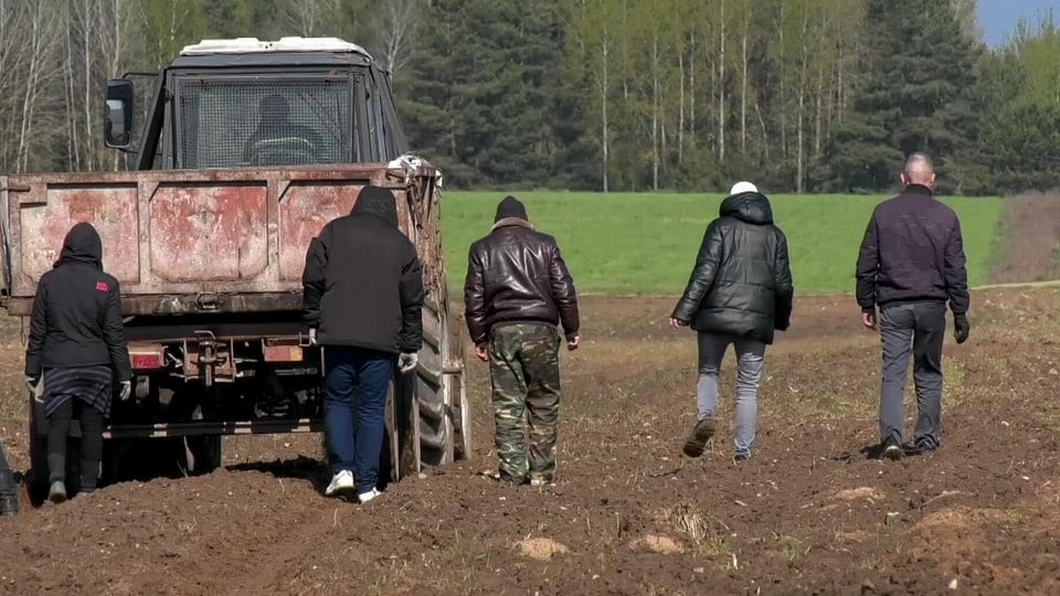 Падробкі пад дэмакратыю: як Беларусь крадзе “метадычкі” ў дэмакратычных краін